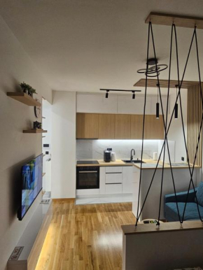 Apartment Shine - Borik